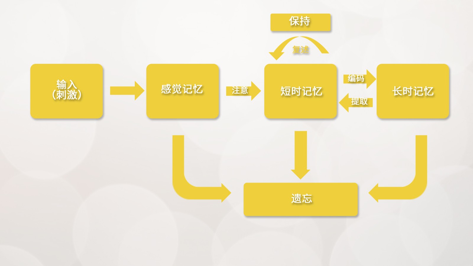 腦電在學(xué)習記憶方面的研究