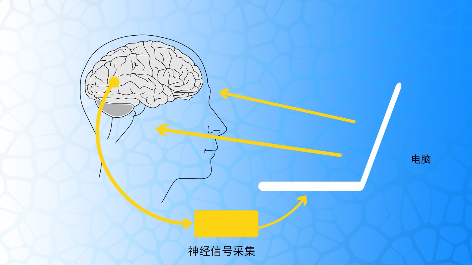 近紅外在神經(jīng)生物反饋領域的應用